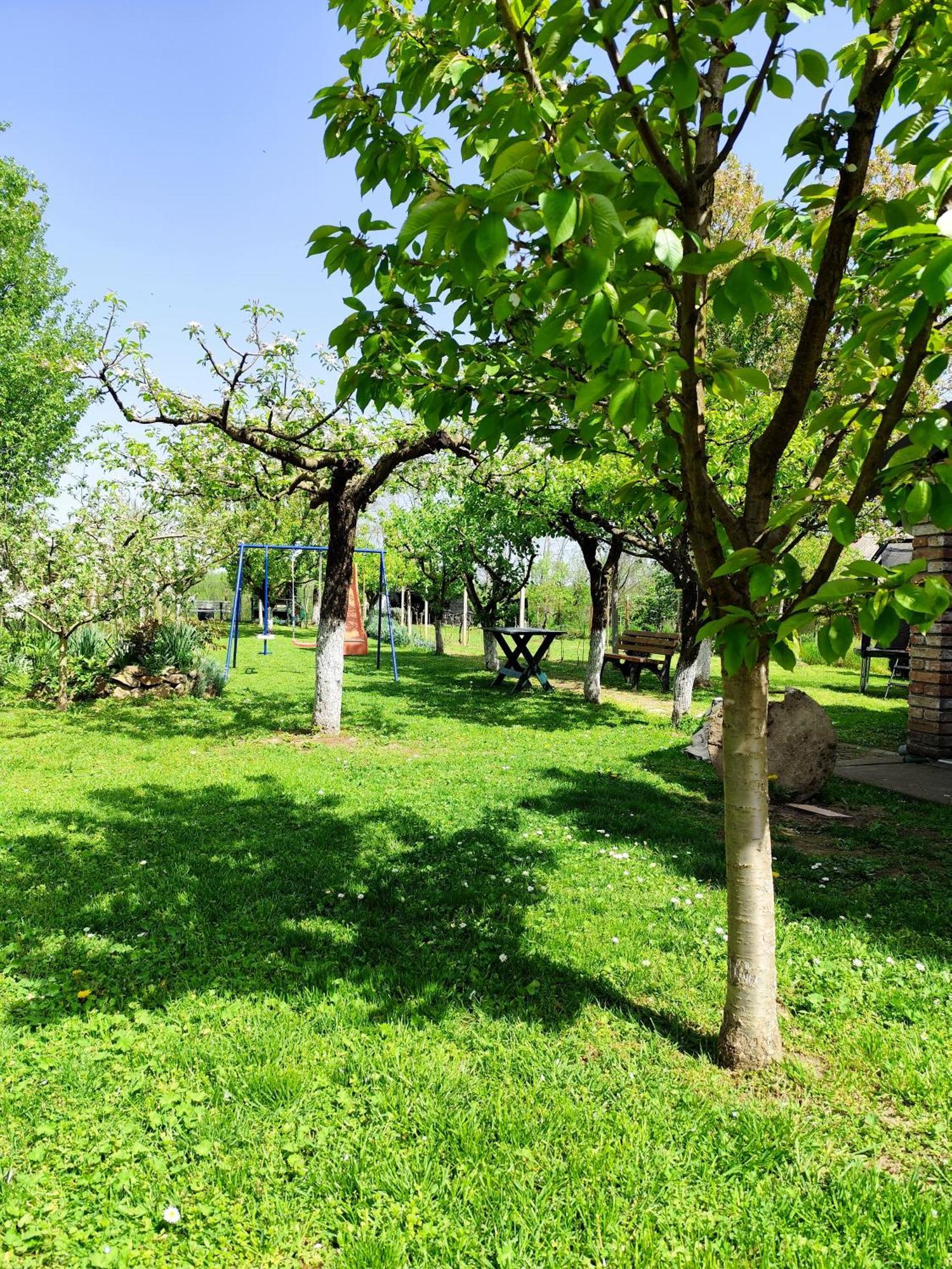 Kuca Za Odmor Mirni Kutak Vukovar Buitenkant foto
