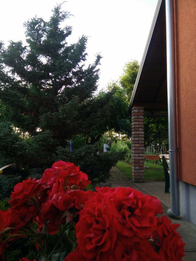 Kuca Za Odmor Mirni Kutak Vukovar Buitenkant foto
