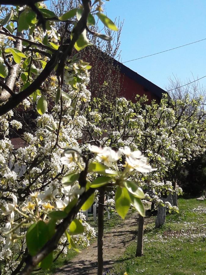 Kuca Za Odmor Mirni Kutak Vukovar Buitenkant foto